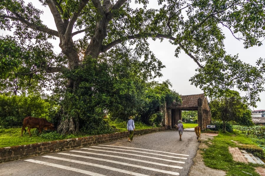 Full Day to Duong Lam Ancient Village Tour – Private