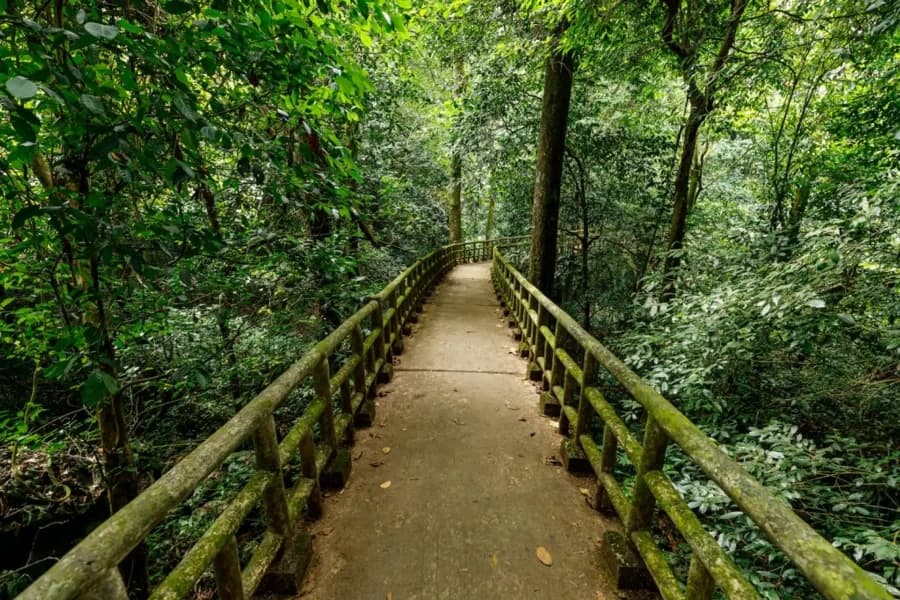 Full Day to Cuc Phuong National Park Trekking Tour – Private