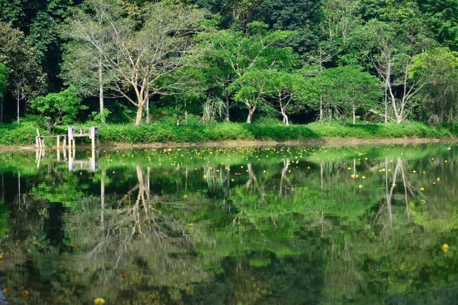 From Hanoi: Hoa Lu – Trang An – Cuc Phuong – Private