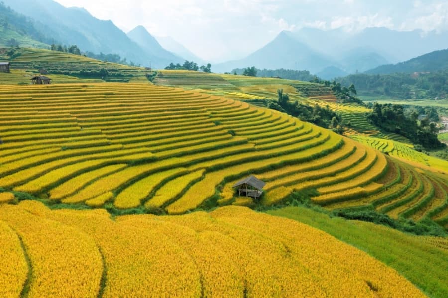 Sapa Trekking Through Rice Terraced Fields – Private
